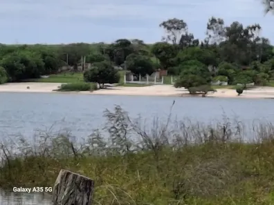 Fazenda/Sítio com 8 Quartos à venda, 41000m² no , São José de Mipibu
