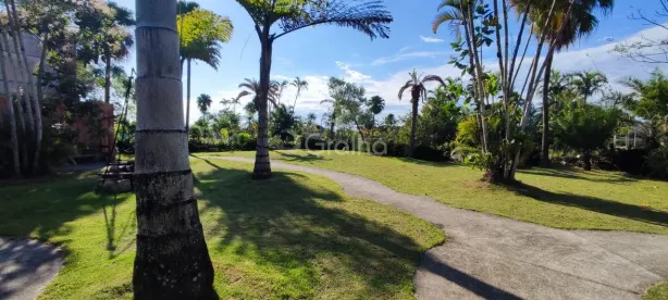 Lote/Terreno à venda, 459m² no Vargem Grande, Florianópolis
