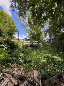 Lote/Terreno à venda, 1000m² no Loteamento Fontes e Bosques Alam Grei, Rio Claro