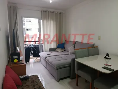 Apartamento com 2 Quartos à venda, 63m² no Vila Santos, São Paulo