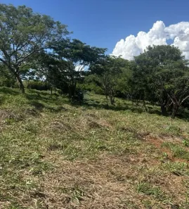 Fazenda/Sítio à venda, 1319800m² no Centro, Ribeirão Bonito