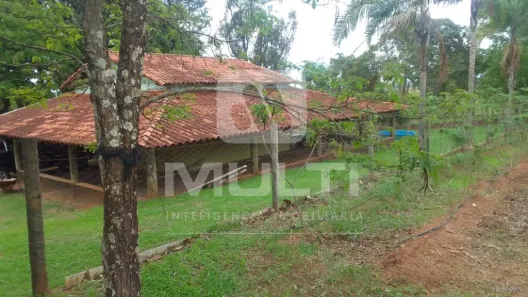 Fazenda/Sítio com 2 Quartos à venda, 250m² no Jardim Patrícia, Uberlândia
