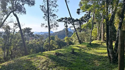 Lote/Terreno à venda, 2050m² no Alto da Boa Vista, Campos do Jordão