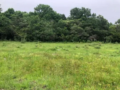 Lote/Terreno à venda, 51254m² no Vargem Pequena, Florianópolis