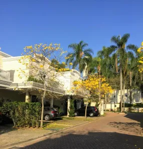 Casa de Condomínio com 3 Quartos para alugar, 220m² no Santo Amaro, São Paulo