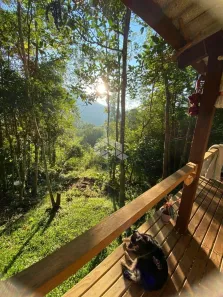 Fazenda/Sítio à venda, 30015m² no , Nova Petrópolis