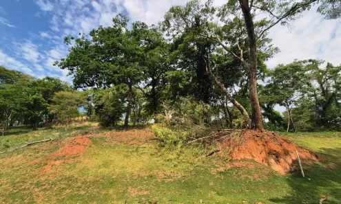 Lote/Terreno com 1 Quarto à venda, 5050m² no Residencial Aldeia do Vale, Goiânia