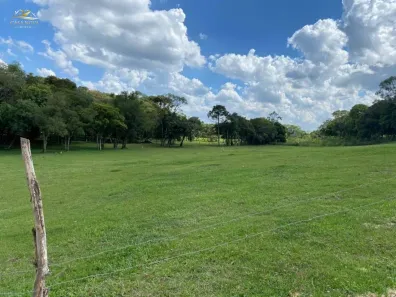 Lote/Terreno à venda, 3756m² no Ouro Verde, Campo Largo