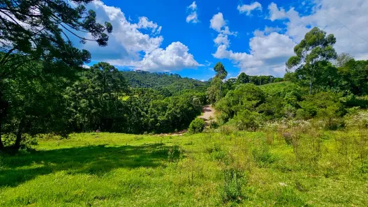 Lote/Terreno à venda, 29000m² no , Gonçalves