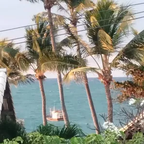 Lote/Terreno à venda, 200m² no Praia do Forte, Mata de São João