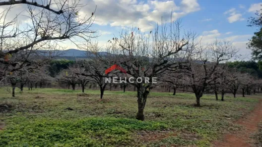 Fazenda/Sítio com 2 Quartos à venda, 80m² no Chácara Santa Cruz dos Pires, Itatiba