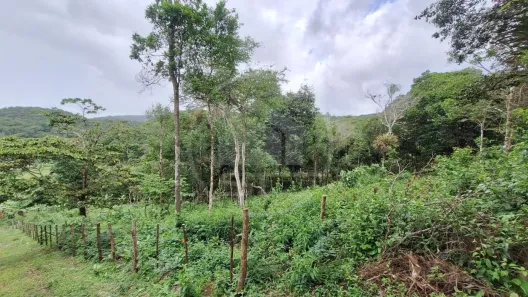 Lote/Terreno à venda, 1740m² no Mulungu, Mulungu