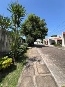 Casa de Condomínio com 3 Quartos à venda, 287m² no Turu, São Luís