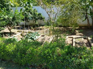 Lote/Terreno à venda, 736m² no Palmeiras, Cabo Frio