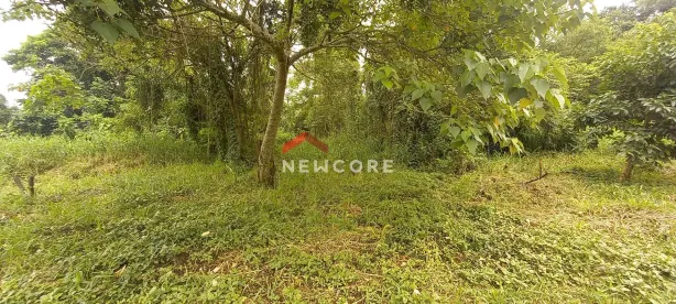 Lote/Terreno à venda, 2480m² no Paisagem Renoir, Cotia