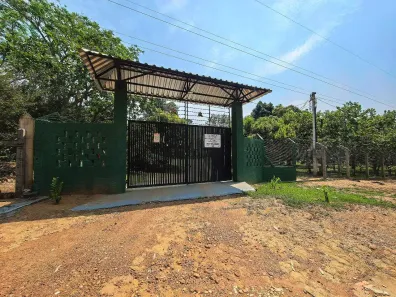 Fazenda/Sítio com 2 Quartos à venda, 180m² no Área Rural de Porto Velho, Porto Velho
