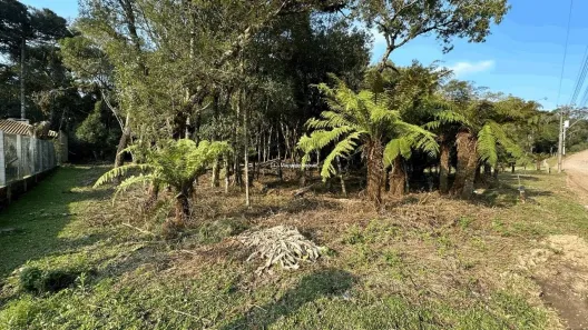 Lote/Terreno à venda, 965m² no Jardim Mariana, Canela
