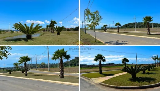 Lote/Terreno à venda, 240m² no Araquari, Araquari