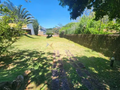 Lote/Terreno à venda, 460m² no Bairro das Palmeiras, Campinas