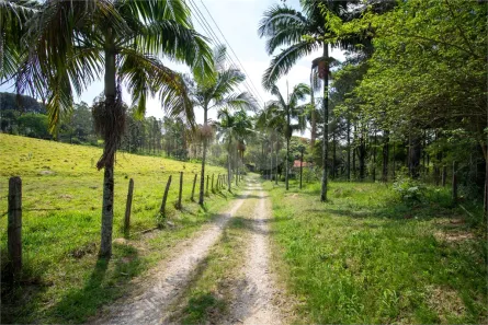 Lote/Terreno à venda, 39830m² no Vila Darcy Penteado (Mailasqui), São Roque