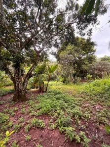 Fazenda/Sítio com 2 Quartos à venda, 1465m² no Residencial Jardim Canedo II, Senador Canedo