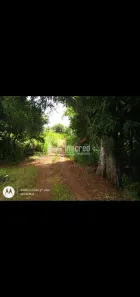 Lote/Terreno à venda, 1196m² no Paiquerê, Londrina