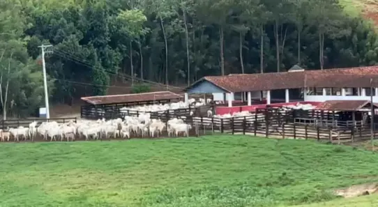 Fazenda/Sítio com 3 Quartos à venda, 250m² no , Cachoeira Paulista