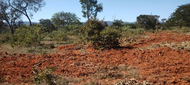 Lote/Terreno à venda, 20000m² no Jequitibá, Jequitibá