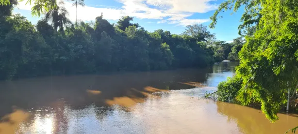 Fazenda/Sítio com 3 Quartos à venda, 600m² no Bananal, Campinas