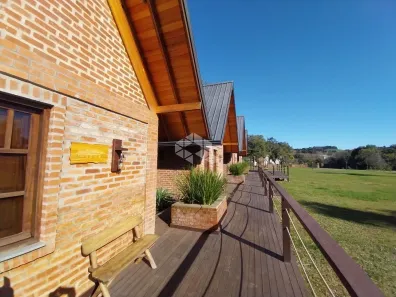 Lote/Terreno à venda, 20000m² no , Garibaldi