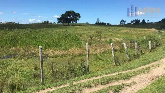 Fazenda/Sítio à venda, 2510000m² no São Vicente de Paula, Araruama