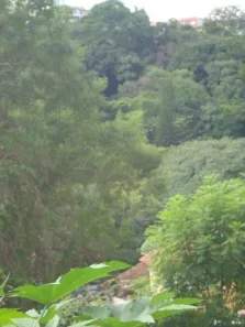 Lote/Terreno à venda, 250m² no Jardim Monte Alegre, Taboão da Serra