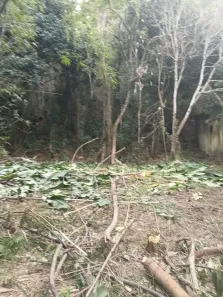 Lote/Terreno à venda, 1000m² no Ponta Negra (Ponta Negra), Maricá