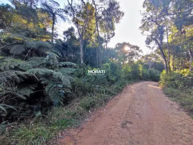 Lote/Terreno à venda, 110000m² no , São José dos Pinhais