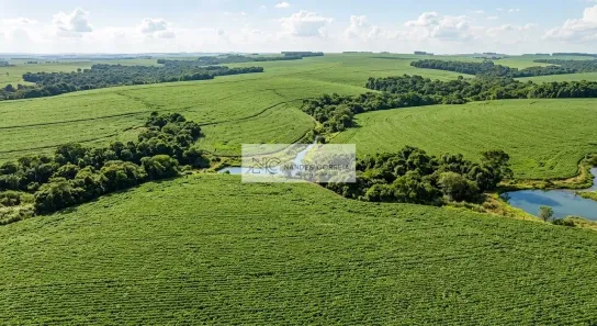 Fazenda/Sítio com 3 Quartos à venda, 10m² no , Tamarana