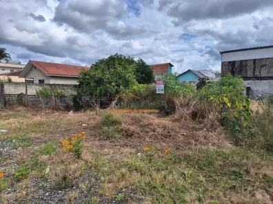 Lote/Terreno à venda, 466m² no São Braz, Curitiba