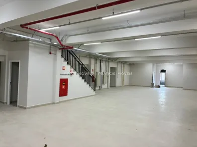 Galpão/Depósito/Armazém à venda, 2400m² no Cambuci, São Paulo