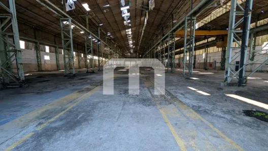 Galpão/Depósito/Armazém para alugar, 5500m² no Cangaíba, São Paulo