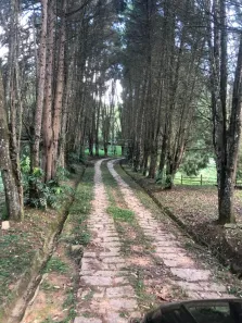 Fazenda/Sítio com 5 Quartos à venda, 850m² no Santa Clara, Jundiaí
