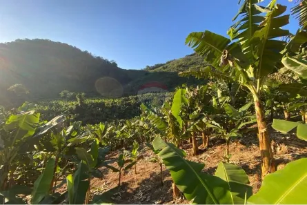 à venda, 600000m² no Centro, Miracatu