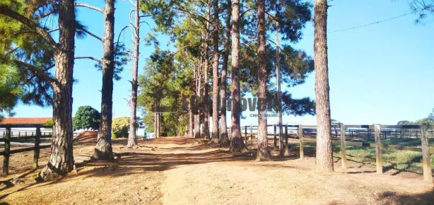 Lote/Terreno à venda, 798600m² no Chapadão, Porto Feliz