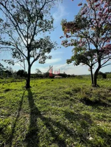 Fazenda/Sítio à venda, 3581m² no Centro, Presidente Prudente