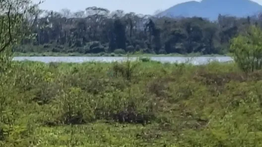 Fazenda/Sítio com 3 Quartos à venda, 110m² no , Santo Antônio de Leverger