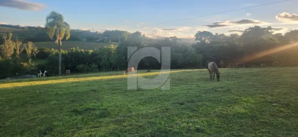 Lote/Terreno à venda, 10000m² no Lomba Grande, Novo Hamburgo