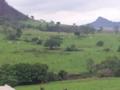 Fazenda/Sítio com 2 Quartos à venda, 919600m² no , Santo Antônio da Alegria