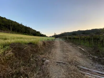 Lote/Terreno à venda, 113286m² no Vila Lobos, Caxias do Sul