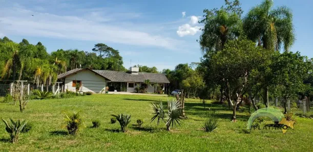 Fazenda/Sítio com 3 Quartos à venda, 60000m² no , Portão