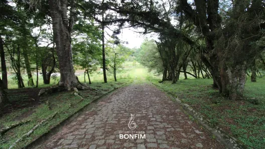 Fazenda/Sítio à venda, 86000m² no Cachoeira de São José, São José dos Pinhais
