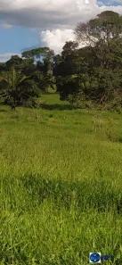 Lote/Terreno à venda, 4m² no Setor Central, Ouro Verde de Goiás