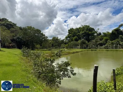 Fazenda/Sítio com 2 Quartos à venda, 38000m² no Setor Central, Guapó